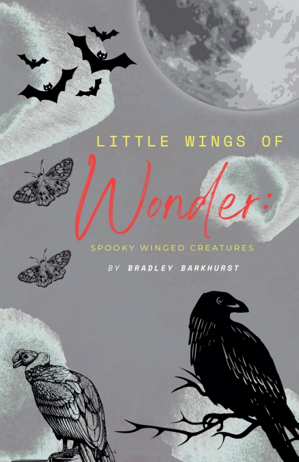 Little Wings of Wonder