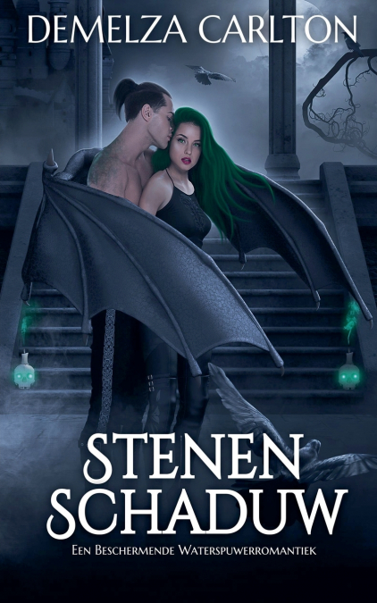 Stenen Schaduw