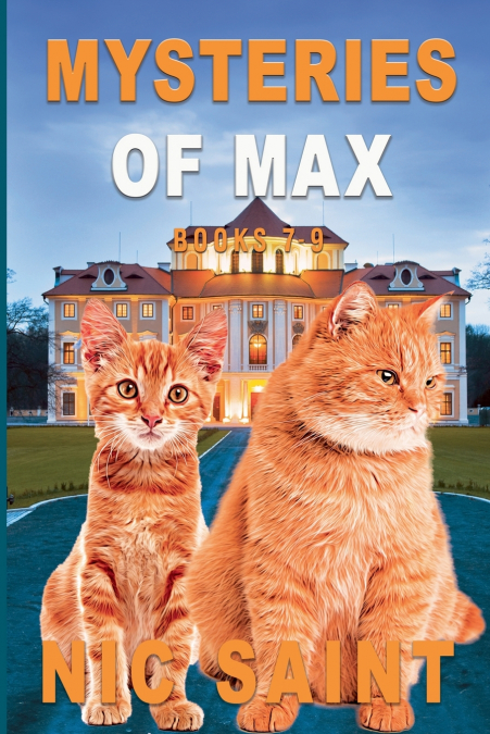Mysteries of Max