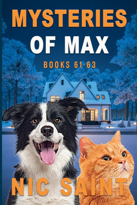 Mysteries of Max