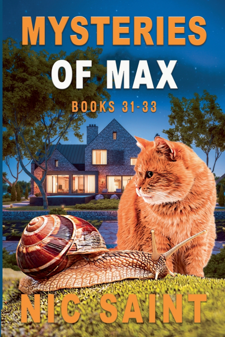 Mysteries of Max