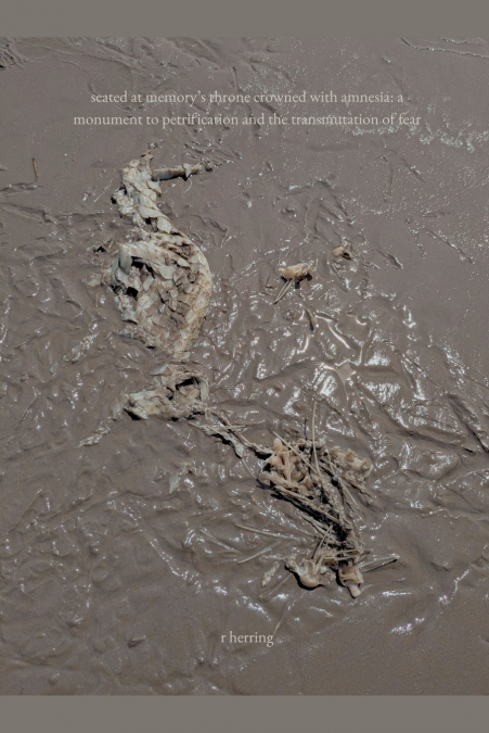 Seated at Memory’s Throne Crowned with Amnesia