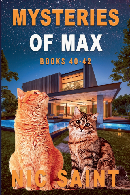 Mysteries of Max
