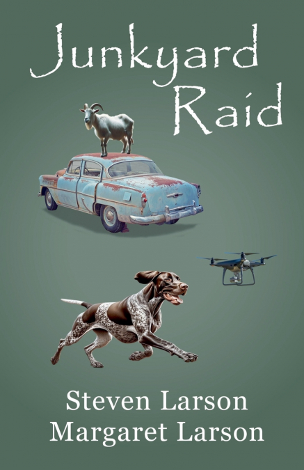 Junkyard Raid