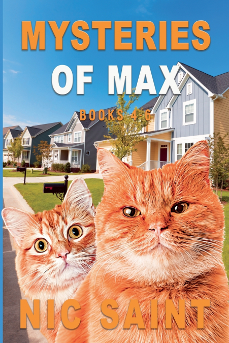Mysteries of Max