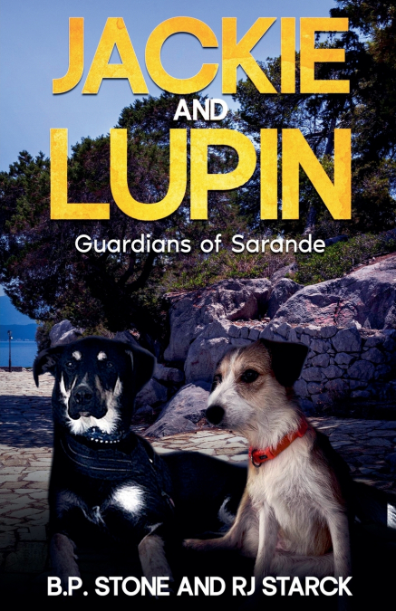 Jackie And Lupin Guardians Of Sarande