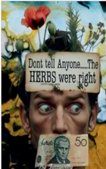 Don’t Tell Anyone....The HERBS were right