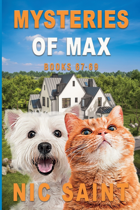 Mysteries of Max