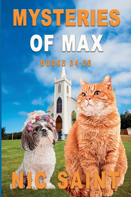 Mysteries of Max