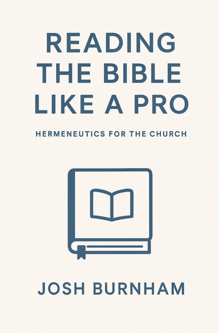 Reading the Bible Like a Pro