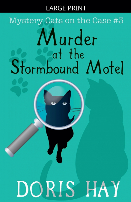 Murder at the Stormbound Motel