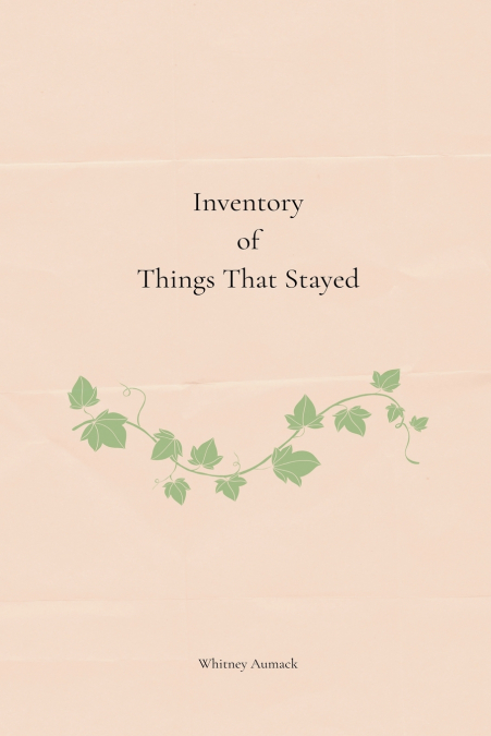 Inventory of Things That Stayed