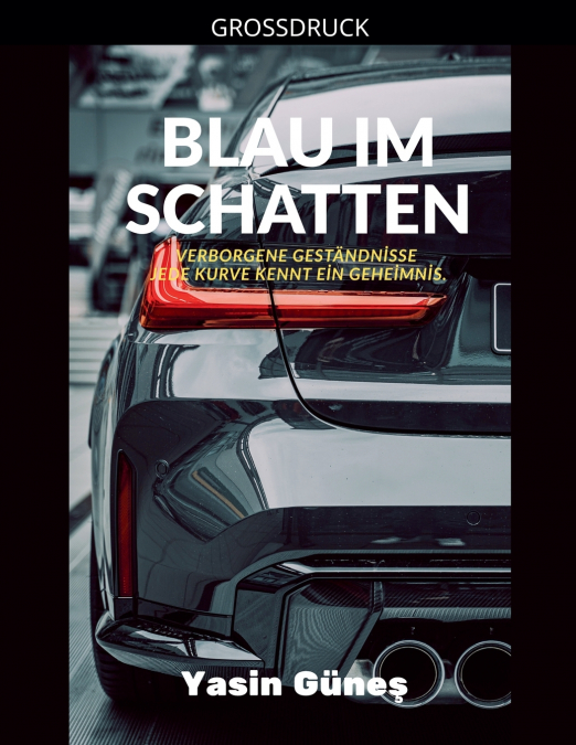 Blau im Schatten - Verborgene Geständnisse - jede Kurve kennt ein Geheimnis.