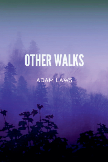 Other Walks