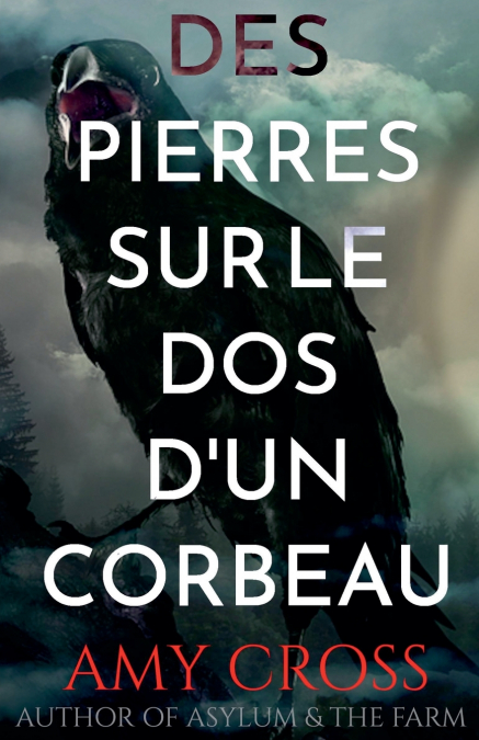 Des pierres sur le dos d’un corbeau