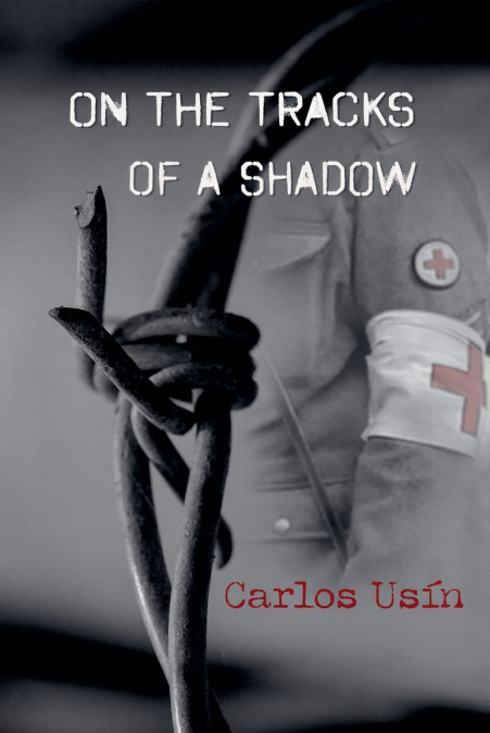On the tracks of a shadow