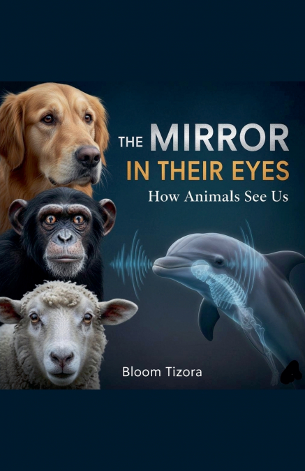 The Mirror In Their Eyes