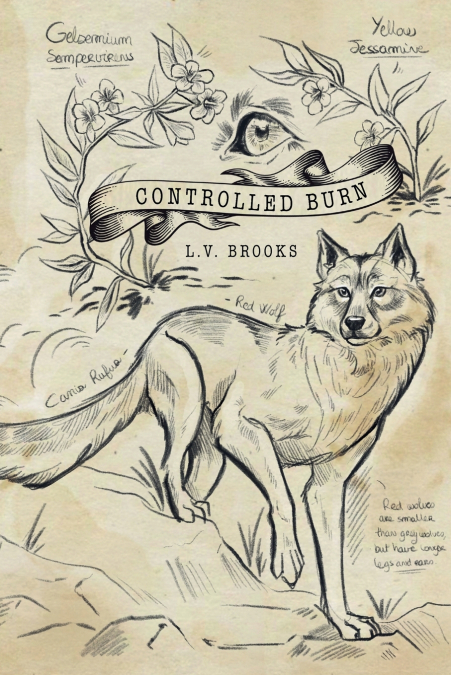 Controlled Burn