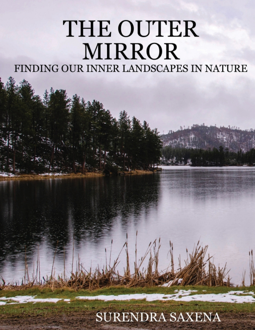 The Outer Mirror