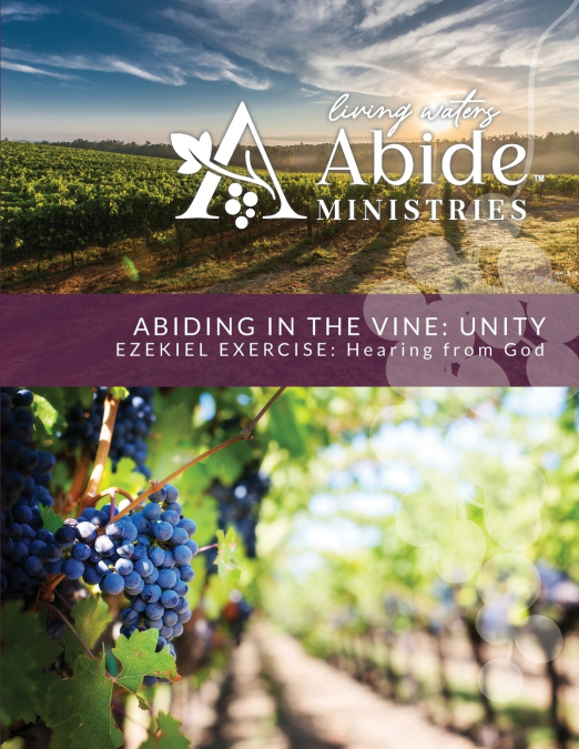 Abiding in the Vine - Ezekiel Exercise