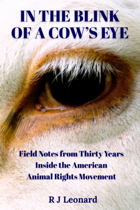 In The Blink Of A Cow’s Eye