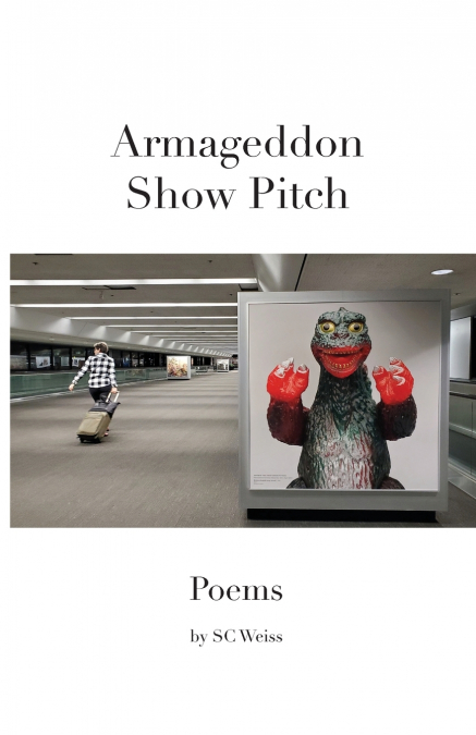Armageddon Show Pitch