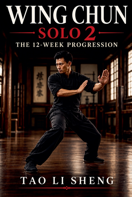 Wing Chun Solo 2