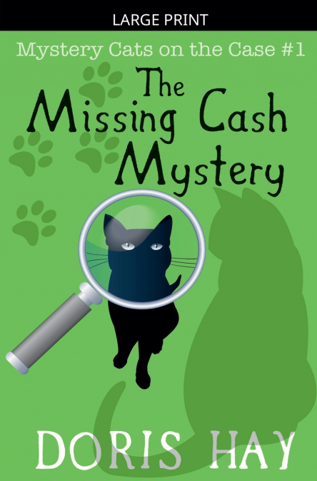 The Missing Cash Mystery