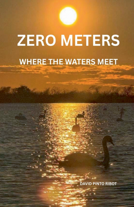ZERO METERS