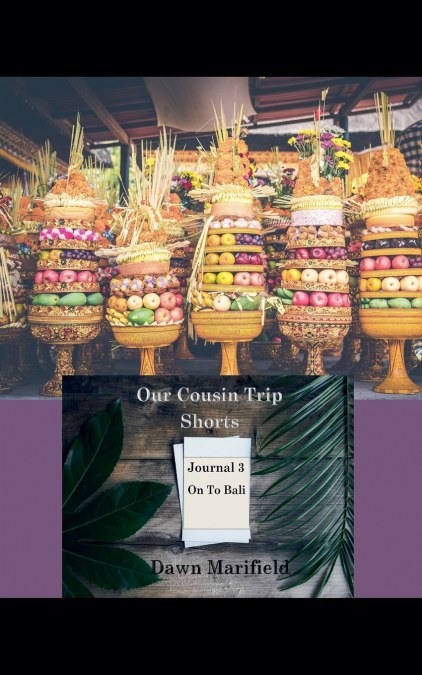Our Cousin Trip Shorts Journal 3 On to Bali
