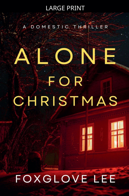 Alone for Christmas