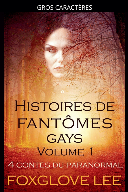 Histoires de fantômes gays volume 1