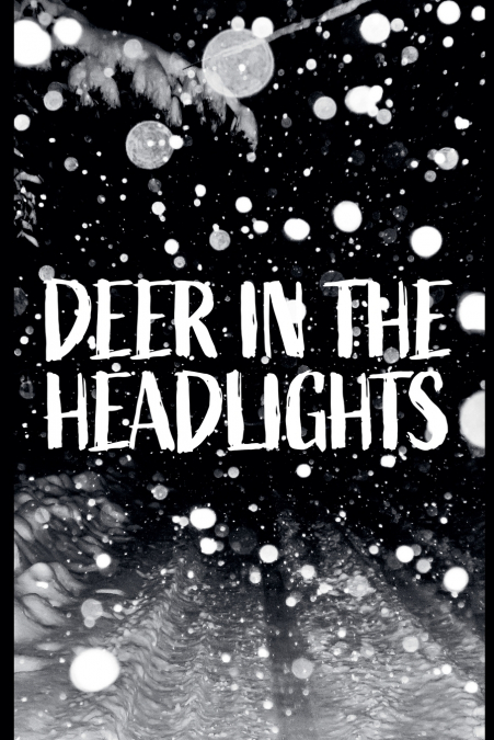 DEER IN THE HEADLIGHTS