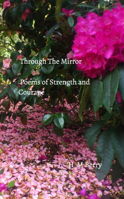 Through the Mirror