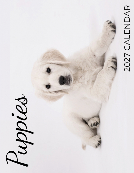 Puppies 2027 Calendar