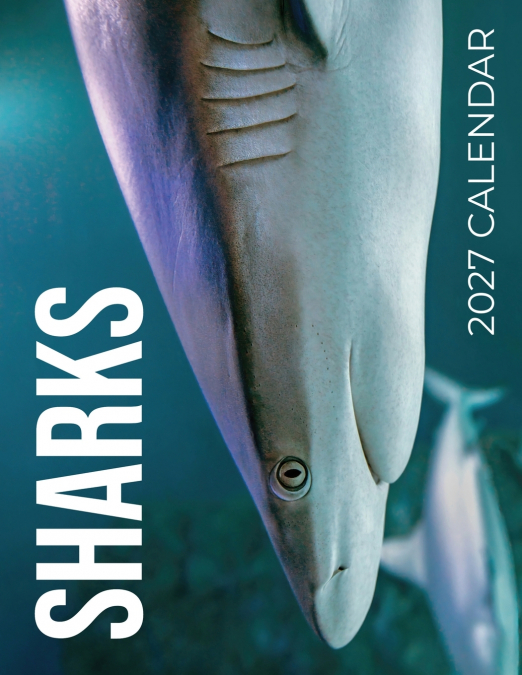 Sharks 2027 Calendar