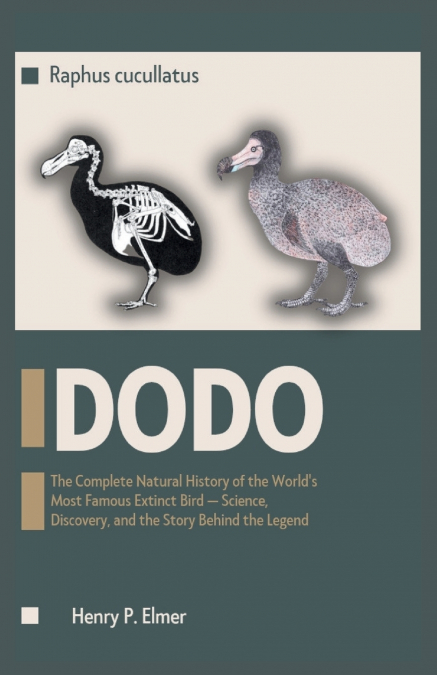 DODO Raphus cucullatus