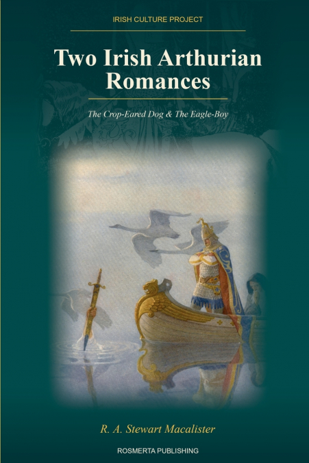 Two Irish Arthurian Romances