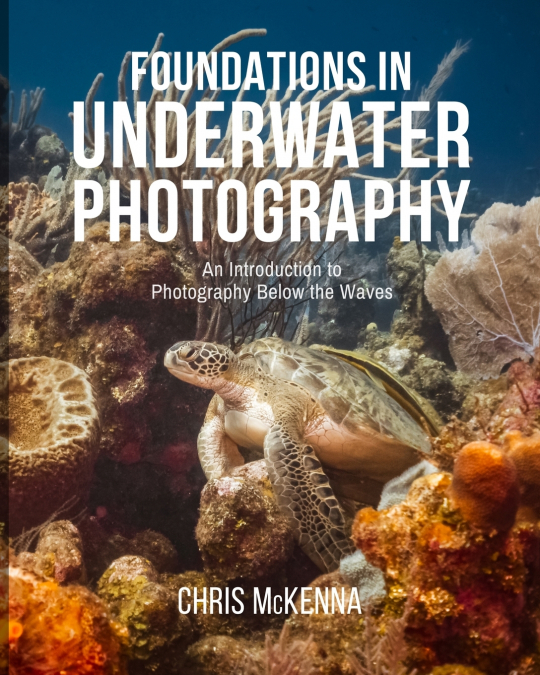 Foundations in Underwater Photography