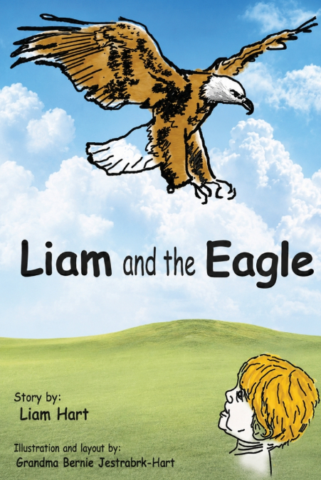 Liam and the Eagle