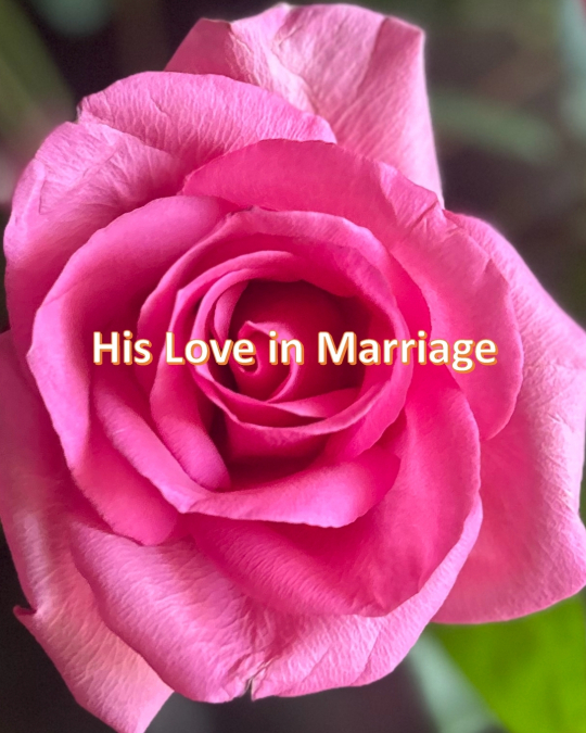 HIS Love in Marriage