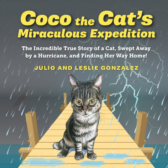 Coco the Cat’s Miraculous Expedition