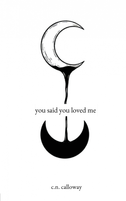 you said you loved me
