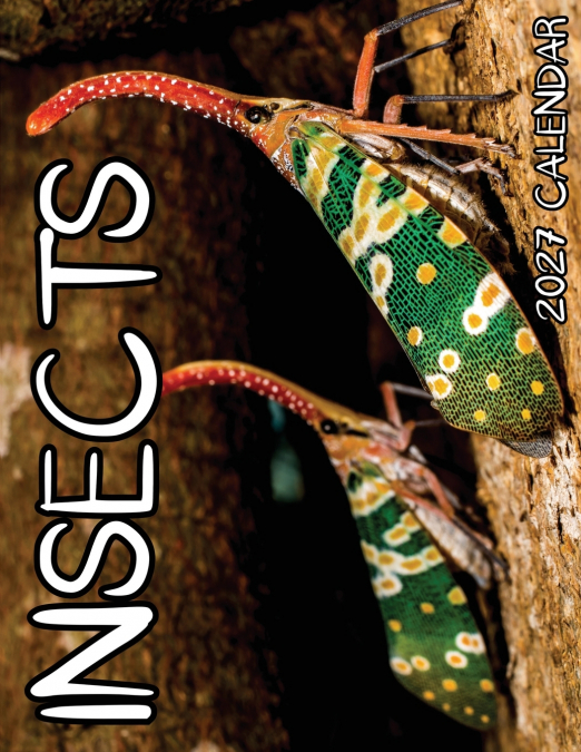 Insects 2027 Calendar