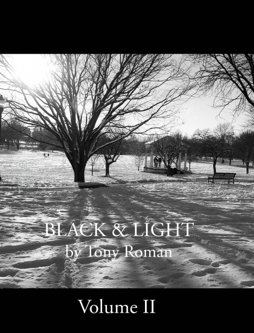 BLACK and LIGHT - Volume II (series)
