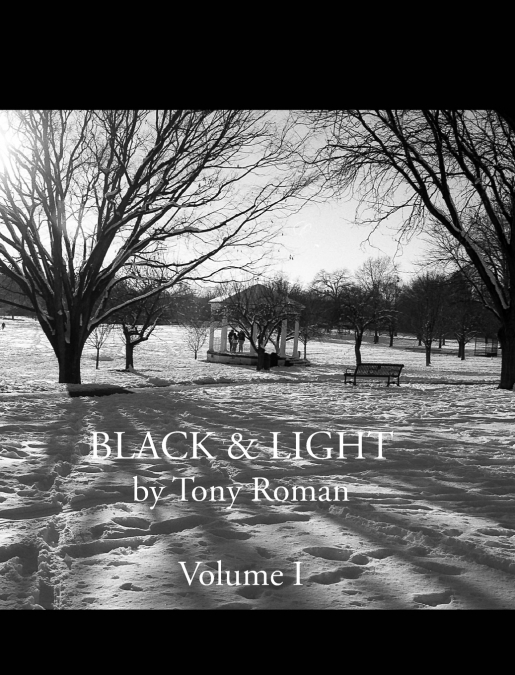 BLACK and LIGHT - Volume I (Series)