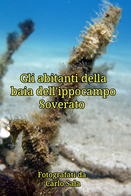 Gli abitanti della baia dell’ippocampo Soverato