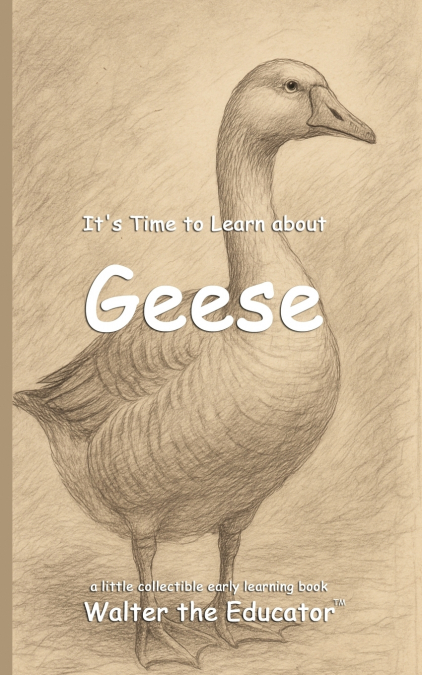 It’s Time to Learn about Geese