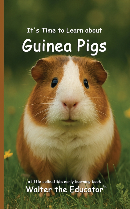 It’s Time to Learn about Guinea Pigs