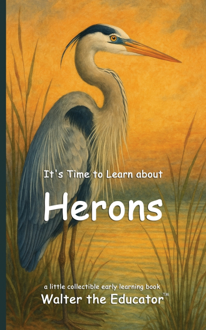 It’s Time to Learn about Herons